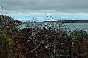 The channel between the islands of Baltra and Santa Cruz in the Galapagos Archipelago.